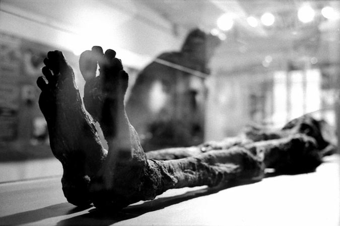 photographie de momie, création photographique sur la mémoire de notre histoire humaine, Museum d´histoire naturelle de Lyon